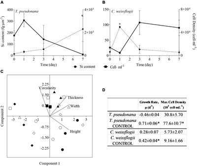 Frontiers | Diatoms Versus Copepods: Could Frustule Traits Have a